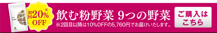 飲む粉野菜 9つの野菜 ご購入はこちら