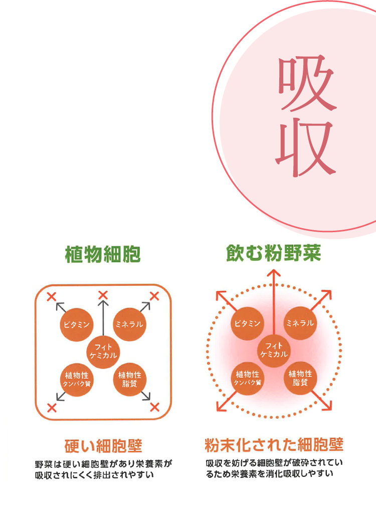 吸収